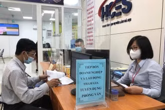 Người lao động tìm hiểu việc làm tại Trung tâm Dịch vụ việc làm Hà Nội. (Ảnh HẠNH LÊ)