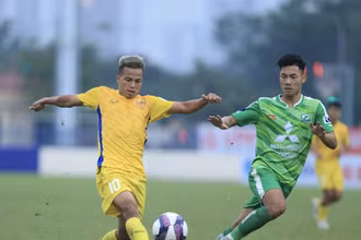 Ảnh minh họa. (Nguồn: phudongfc.com)