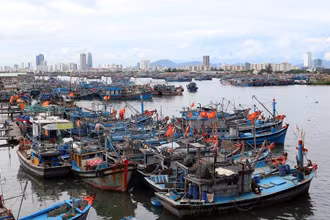 Tàu thuyền được sắp xếp đúng quy định để đảm bảo an toàn phòng chống bão Noru tại âu thuyền Thọ Quang, Đà Nẵng. (Ảnh: Trần Lê Lâm/TTXVN)