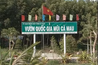 Vườn quốc gia Mũi Cà Mau. (Ảnh: congan.com.vn)