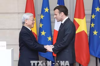Tổng Bí thư Nguyễn Phú Trọng và Tổng thống Cộng hòa Pháp Emmanuel Macron. (Ảnh: TTXVN)