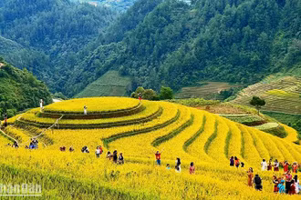 Du khách khám phá vẻ đẹp của ruộng bậc thang tại xã La Pán Tẩn, huyện Mù Cang Chải (Yên Bái). (Ảnh Hạnh Hoàng)