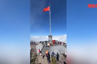 [Video] Sa Pa nắng đẹp những ngày cuối tháng 11