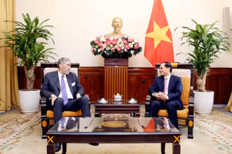 Bộ trưởng Ngoại giao Bùi Thanh Sơn tiếp Tổng Bí thư Đảng Phong trào cánh tả thống nhất, Bộ trưởng chính sách hội nhập khu vực nước Cộng Hòa Dominicana Miguel Mejia.
