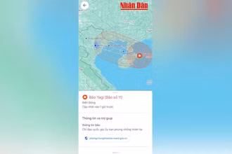 [Video] Theo dõi siêu bão Yagi trên ứng dụng Google Maps