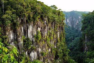 [Ảnh] Tour đêm mới lạ tại Vườn quốc gia Cúc Phương