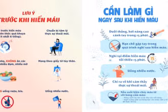 [Video] Những lưu ý trước và sau khi hiến máu