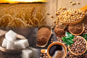Giá nhiều mặt hàng nông sản đồng loạt giảm mạnh