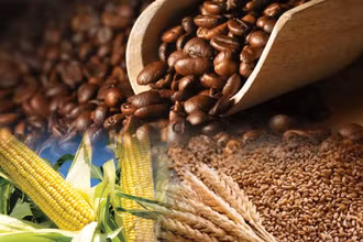 Dòng tiền đầu tư đến thị trường gia tăng, giá hàng hóa giảm mạnh