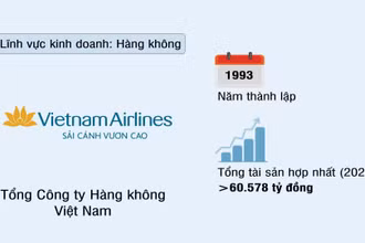 Tổng Công ty Hàng không Việt Nam (VIETNAM AIRLINES)