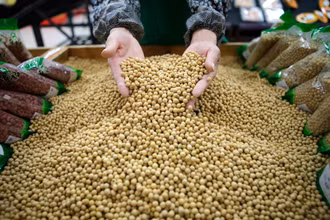Ảnh minh họa. Nguồn: Reuters