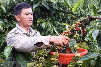 Giá hàng hóa nguyên liệu thế giới chưa thể kết thúc đà giảm