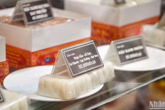 Ảnh minh họa: Nhật Quang