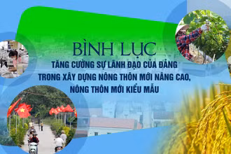 Bình Lục tăng cường sự lãnh đạo của Đảng trong xây dựng nông thôn mới nâng cao, nông thôn mới kiểu mẫu