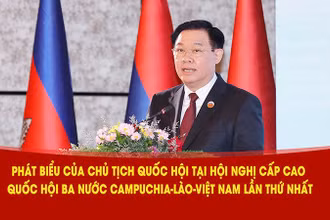 Chủ tịch Quốc hội Vương Đình Huệ phát biểu tại hội nghị. (Ảnh: TTXVN)