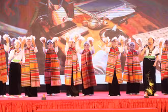 Biểu diễn văn nghệ tại Ngày hội.
