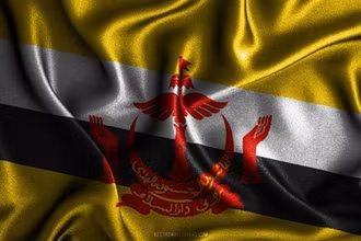 Brunei phê chuẩn Hiệp định thương mại tự do lớn nhất thế giới RCEP