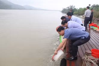 Cán bộ, nhân dân Thanh Hóa thả cá xuống sông Mã.