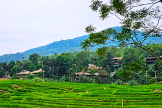 Ruộng bậc thang ở bản Đôn, huyện Bá Thước, tỉnh Thanh Hóa.
