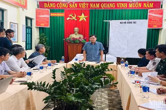 Thứ trưởng Nông nghiệp và Phát triển nông thôn Nguyễn Hoàng Hiệp, Phó Trưởng Ban Chỉ đạo quốc gia về Phòng, chống thiên tai đã làm việc với tỉnh Quảng Nam.