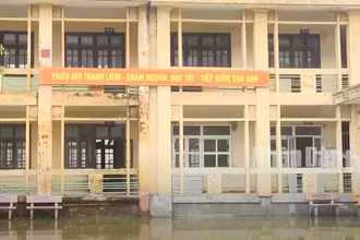 (Ảnh: LƯƠNG BIỂN/NHANDANTV)