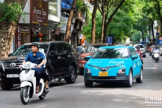 Lái xe là công việc nặng nhọc, căng thẳng thần kinh, cần được nghỉ ngơi hợp lý để bảo đảm sức khỏe.
