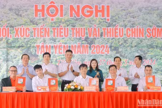 Đại diện Central Retail (ngoài cùng bên trái) ký kết hợp đồng ghi nhớ tiêu thụ vải thiều chín sớm Tân Yên năm 2024 với các Hợp tác xã cung cấp vải thiều của tỉnh Bắc Giang.