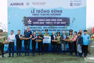 Công ty Airbus Việt Nam và đại diện lãnh đạo các cơ quan, đơn vị đồng hành đã tham dự Ngày Trồng cây, đánh dấu mốc trong việc Airbus chung tay cùng Việt Nam thực hiện Đề án “Trồng 1 tỷ cây xanh”.