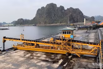 Trong quý I, ngành than đã sản xuất 10,5 triệu tấn than nguyên khai, sản xuất 10,05 triệu tấn than sạch; tiêu thụ 12,71 triệu tấn than; trong đó, than cung ứng cho sản xuất điện đạt 10,8 triệu tấn.