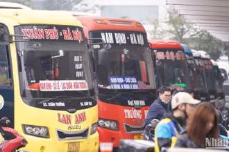 Theo tính toán, trên thực tế, tổng số giờ lái xe của người lái xe ô-tô khoảng 60-65 giờ/tuần.