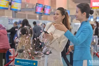 Vietnam Airlines Group cung ứng thêm hơn 650.000 ghế, tương đương hơn 3.000 chuyến bay trên các chặng bay nội địa Việt Nam trong dịp Tết Nguyên đán.