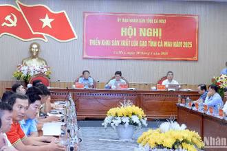 Hội nghị sản xuất lúa gạo tại Cà Mau chiều 18/4.