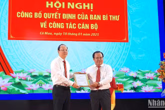 Bí thư Tỉnh ủy Cà Mau Nguyễn Hồ Hải trao quyết định của Ban Bí thư cho đồng chí Nguyễn Minh Luân (phải). 