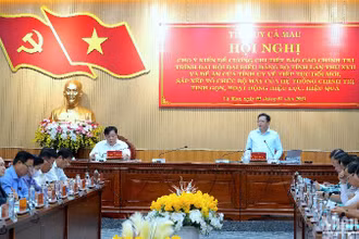Phó Bí thư Thường trực Tỉnh ủy Cà Mau Nguyễn Đức Hiển (đứng) phát biểu chỉ đạo tại hội nghị.