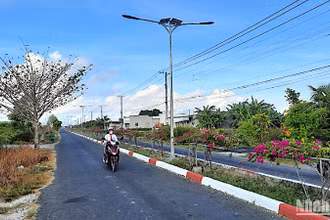 Vùng căn cứ cách mạng miệt rừng Ngọc Hiển (tỉnh Cà Mau) trên đường về đích huyện nông thôn mới. 