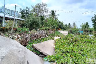 Một đoạn lộ nông thôn ở vùng ngọt huyện Trần Văn Thời (tỉnh Cà Mau) bị sạt xuống kênh, khiến giao thông đường bộ bị chia cắt.