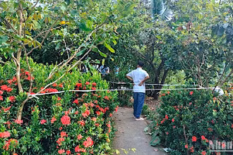 Công an phong tỏa hiện trường khu vực phát hiện 3 người trong một gia đình ở xã Thạnh Phú (huyện Cái Nước, tỉnh Cà Mau) tử vong bất thường.