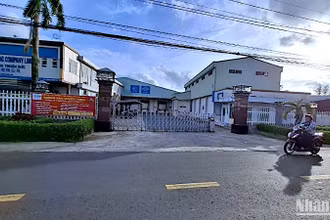 Công ty Thuận Đức, đơn vị xả thải trái phép vừa bị Uỷ ban nhân dân tỉnh Cà Mau phạt hơn 2 tỷ đồng. 