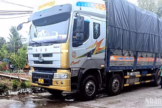 Xe tải lớn bị tạm giữ sau khi làm hư hỏng cầu bắt ngang thị trấn Trần Văn Thời (huyện Trần Văn Thời, tỉnh Cà Mau).