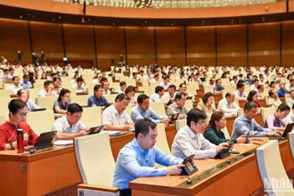 Các đại biểu dự phiên họp của Quốc hội ngày 5/6/2023. (Ảnh: DUY LINH)