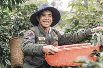 Thúc đẩy sản xuất cà-phê bền vững và bảo vệ rừng tại Lâm Đồng