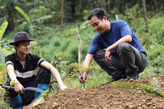 Anh Nguyễn Thanh Bình (bên phải) kiểm tra cây đinh lăng vừa trồng.