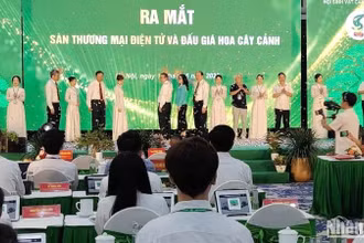 Các đại biểu bấm nút khai trương sàn thương mại điện tử và đấu giá hoa, cây cảnh.