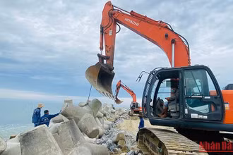 Để thi công đê chắn sóng, ngăn cát phía bắc cửa biển Cửa Đại các kĩ sư, công nhân lắp đặt 3.500 Tetrapod.