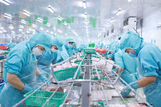 Chế biến, xuất khẩu thủy sản là lĩnh vực đóng góp cao vào doanh thu của Tập đoàn Sao Mai.