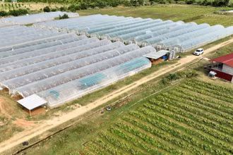 Trang trại Nắng và Gió ở thôn Phú Thuận, xã Mỹ Sơn, huyện Ninh Sơn (Ninh Thuận) áp dụng sản xuất nông nghiệp tuần hoàn theo chu trình khép kín, đem lại hiệu quả kinh tế cao (Ảnh: NGUYỄN TRUNG)