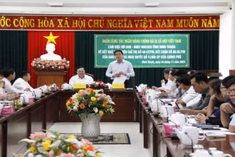 Quang cảnh buổi làm việc.