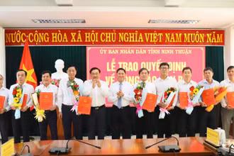 Lãnh đạo Ủy ban nhân dân tỉnh Ninh Thuận trao quyết định bổ nhiệm chức vụ lãnh đạo chủ chốt sau khi hợp nhất các sở, ngành cho những cán bộ được bổ nhiệm. (Ảnh: NGUYỄN TRUNG)