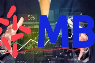 VSD vừa chuyển quyền sở hữu 10.431 cổ phiếu MBB cho các nhà đầu tư. (Ảnh minh họa)