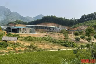 Một nhà xưởng hoành tráng mọc lên trên đất lâm nghiệp tại xã Quảng Chu.